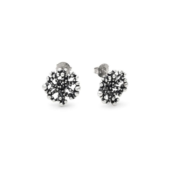 Pendientes de perlas Giovanni Raspini Pendientes en Plata 925 12606