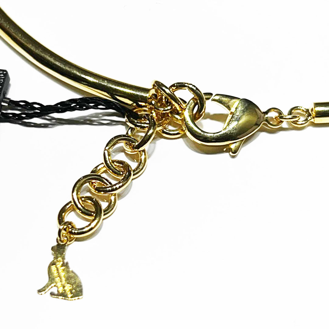 Sztywny choker rurkowy Federica Rossi z wykończeniem PVD z 18-karatowego złota FR.CO.33