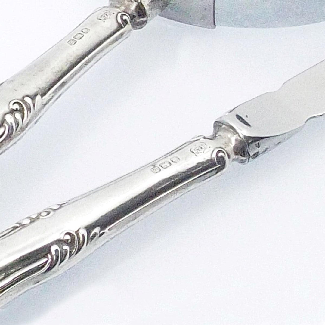 Sheffieldin antiikkikirjeenavaajaobjektiivisetti A-0672 - Gioielleria Capodagli